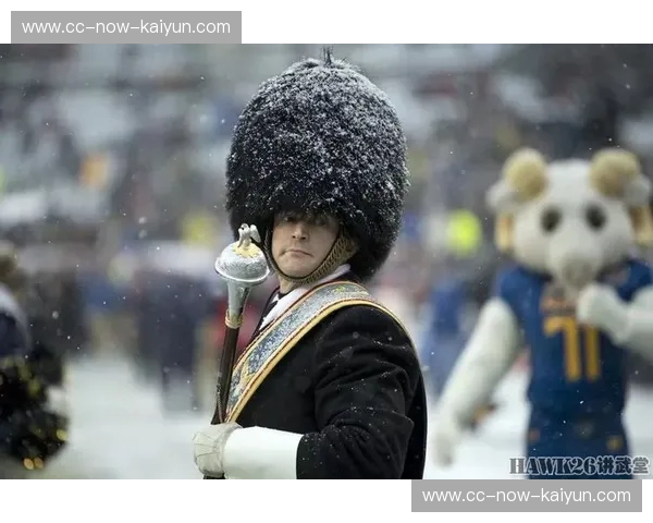 德法对决：足球菠菜赔率的深度解析与激情碰撞